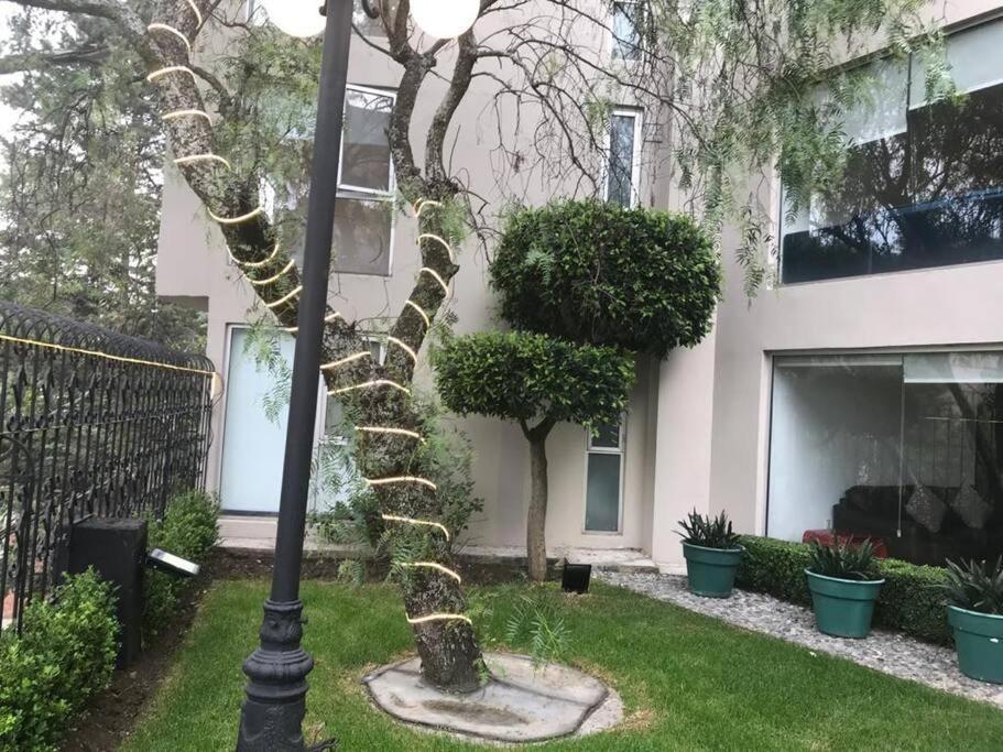 מקסיקו סיטי Hermoso Departamento En Bosques De Las Lomas Dos Habitaciones מראה חיצוני תמונה