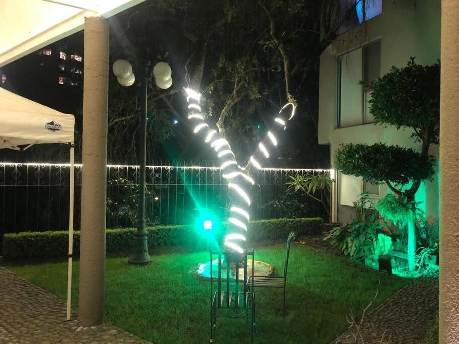 מקסיקו סיטי Hermoso Departamento En Bosques De Las Lomas Dos Habitaciones מראה חיצוני תמונה